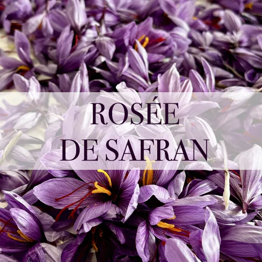 eau bioactive rosée de safran biocorium